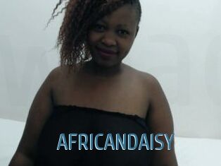 AFRICANDAISY