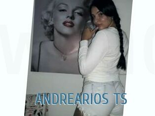 ANDREARIOS_TS