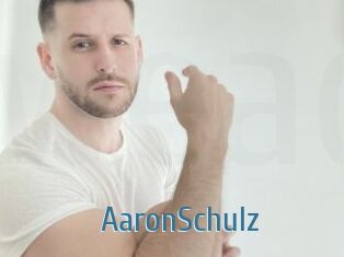 AaronSchulz