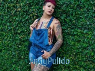 AndyPulido