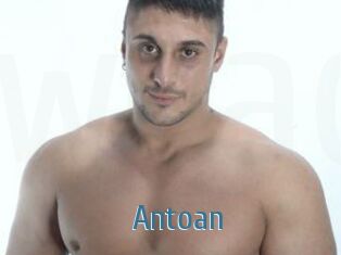 Antoan