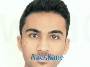 Aries_Kane Web adult links