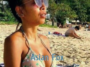 Asian_Fox