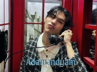 Adamandyam