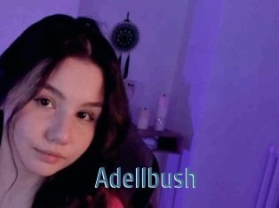 Adellbush