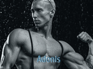 Adonis