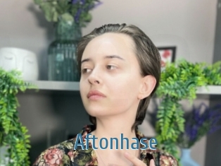 Aftonhase