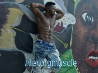 Alexbigmuscle