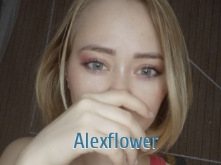 Alexflower