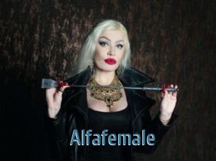 Alfafemale