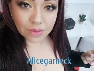 Alicegarneck