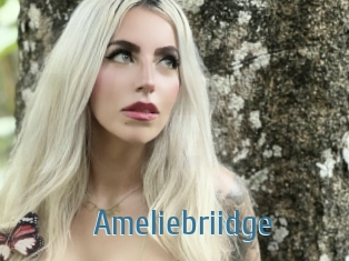 Ameliebriidge