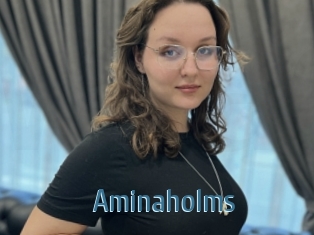 Aminaholms
