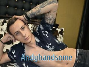 Andyhandsome