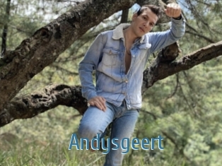 Andysgeert