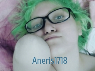 Aneris1718