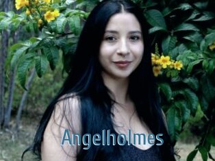 Angelholmes