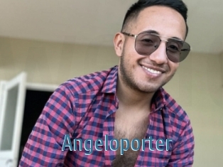 Angeloporter