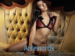 Aniemorris
