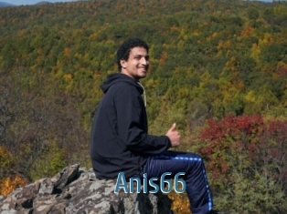 Anis66