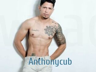 Anthonycub