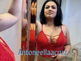 Antoneellaacruz