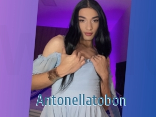 Antonellatobon