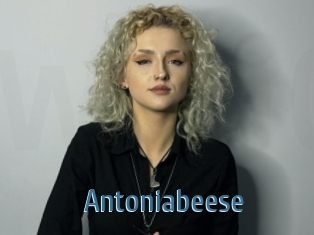 Antoniabeese