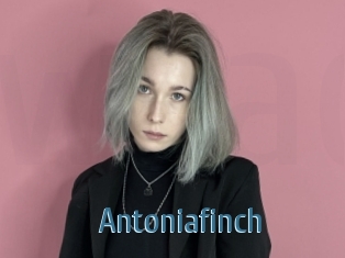 Antoniafinch