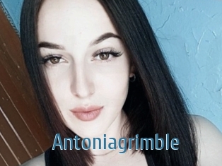 Antoniagrimble