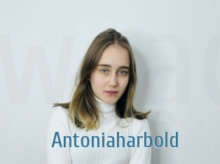 Antoniaharbold