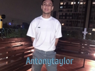 Antonytaylor