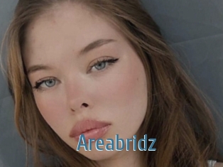 Areabridz