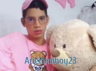Arielfemboy23