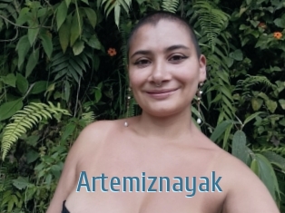 Artemiznayak