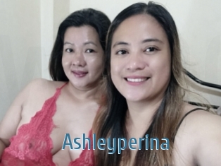 Ashleyperina