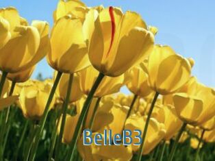 BelleB3