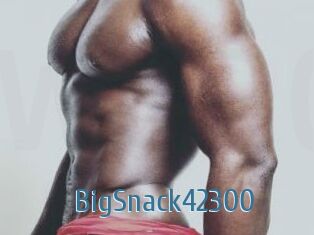 BigSnack42300