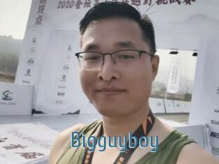 Bigguyboy