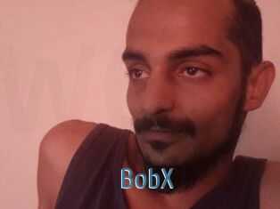 BobX