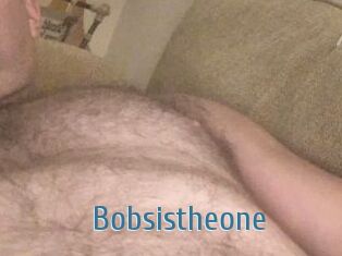 Bobsistheone