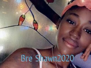 Bre_Shawn2020