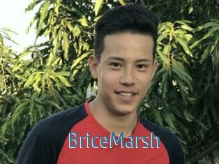 BriceMarsh