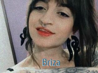 Briza