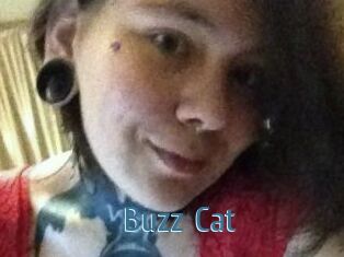 Buzz_Cat