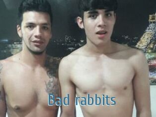 Bad_rabbits