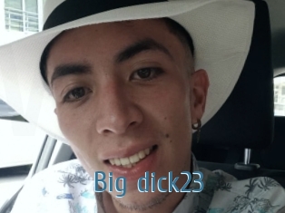 Big_dick23