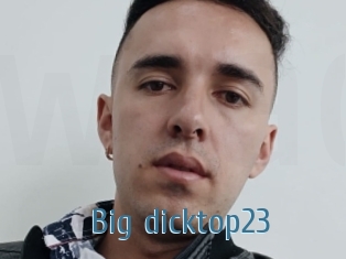 Big_dicktop23