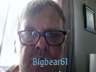 Bigbear61