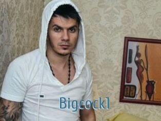 Bigcock1